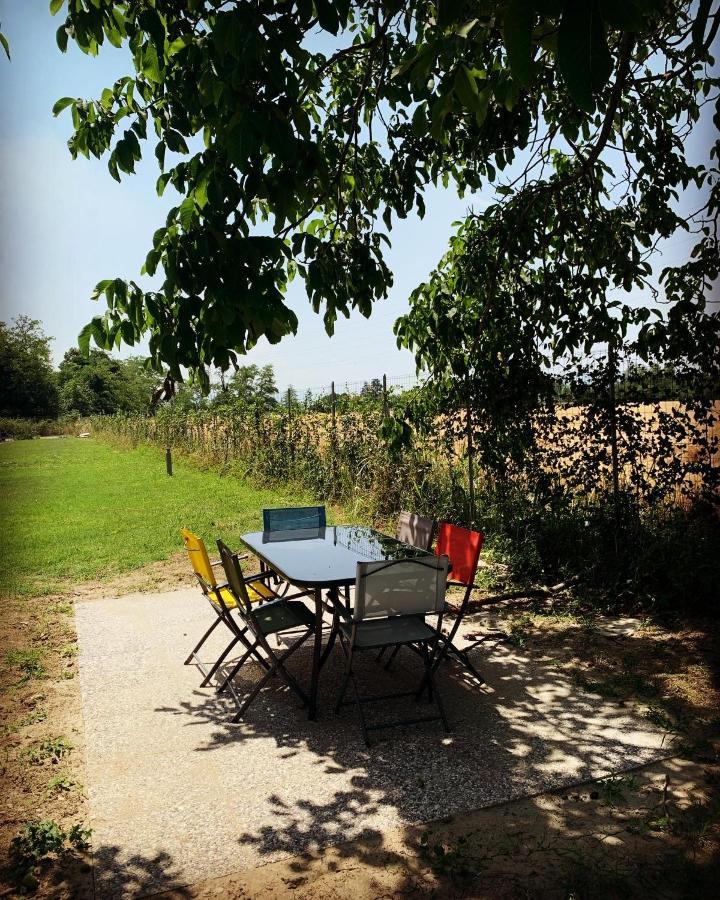 Secchia Sala Dell Estate Guest House מראה חיצוני תמונה
