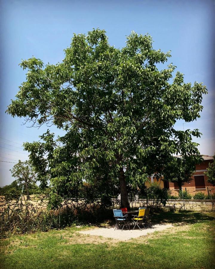 Secchia Sala Dell Estate Guest House מראה חיצוני תמונה